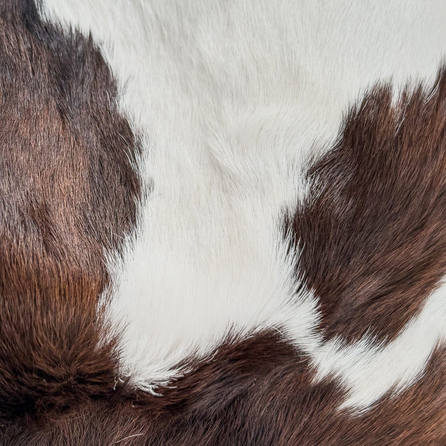 Hobo cow bag